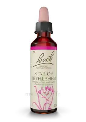 Fleurs de Bach® Original Star of Bethlehem - 20 ml